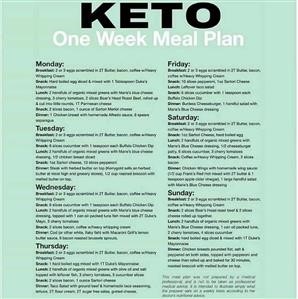 Keto Diet Plan for Beginners Free Recipes